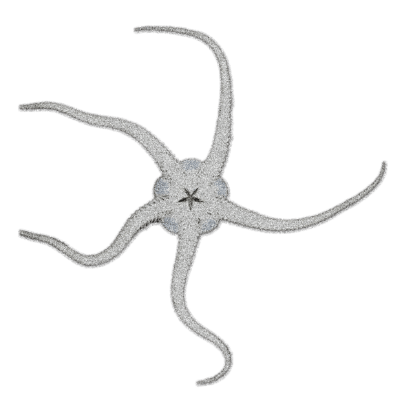 Starfish