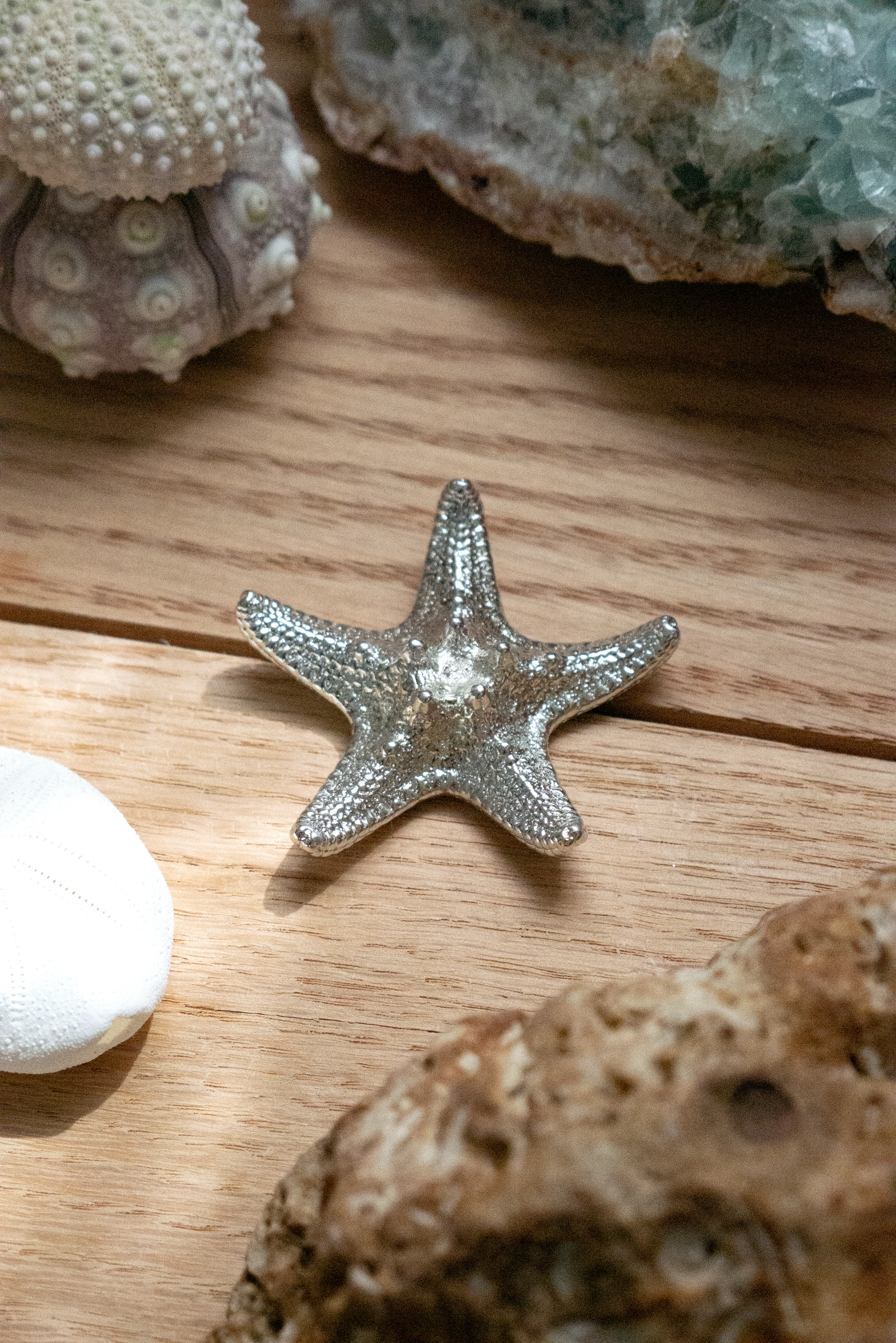 A star and its flame. Flaming Star is cast in recycled tin-copper from the skeleton of the chocolate chip sea star, so the form can be made again while living sea stars stay in the water.
